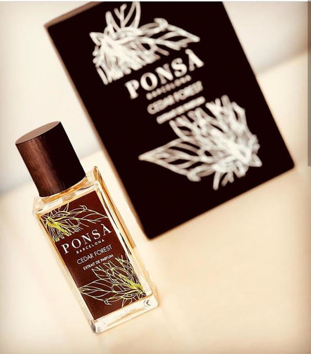 Ponsa Cedar Forest