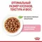 Влажный корм RC Kitten Instinctive для котят, в соусе, пауч, 85 г