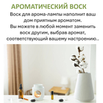 Ежевика и мимоза, кубики восковые для ароматизации, 10 штук