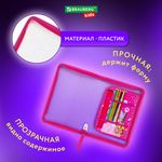 Папка для труда на молнии BRAUBERG KIDS А4, 1 отделение, прозрачная, органайзер, "Anime style", 272208