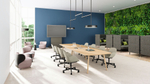 Стул Walter Knoll Sheru chAIR