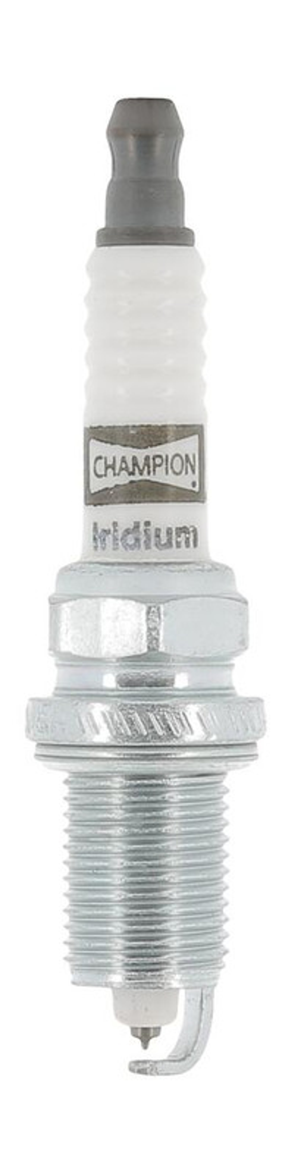 CHAMPION - OE184/T10