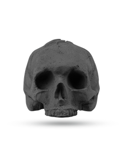 KOSTIN SKULL black