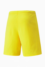 Шорты Puma teamRISE