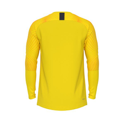 Свитер вратарский Evolution GK Jersey L/S — Tour yellow/university gold
