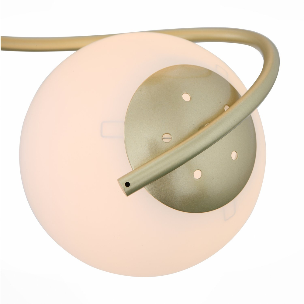Светильник потолочный Evoluce Delicata SL711.202.04