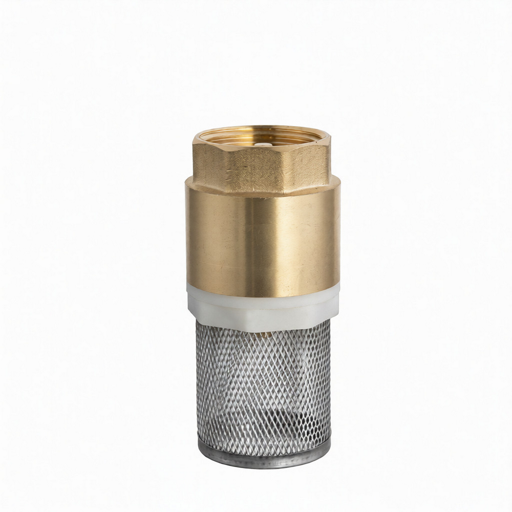 Донный фильтр с обратным клапаном Petropump BBF25 PP910014, 1″