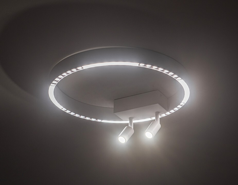Накладной светильник Ambrella Light FL FL5808