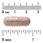 Swanson Vitamins, Full Spectrum® ягоды лимонника, 525 мг, 90 капсул