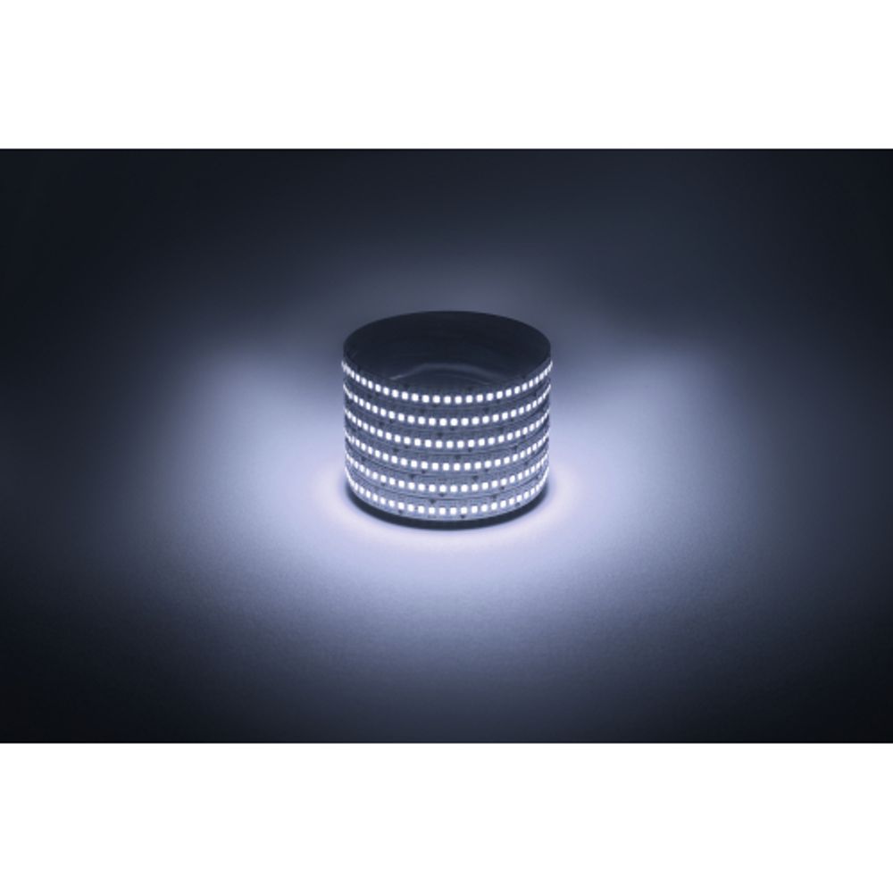 Светодиодная лента ЭРА LS2835-19,2-240-12-6500K-IP20-1 year-5m холодный белый 1 год | Светодиодные ленты 12В 1 год