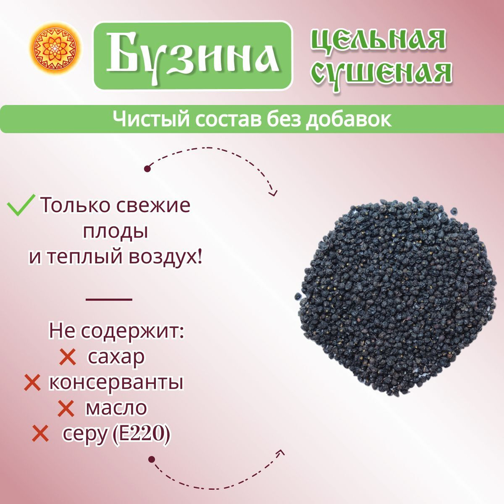 Бузина