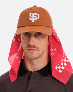 Кепка Anteater 6Panel Терракот