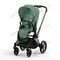 Прогулочная коляска Cybex Priam IV Leaf Green