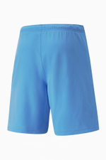 Шорты Puma teamRISE