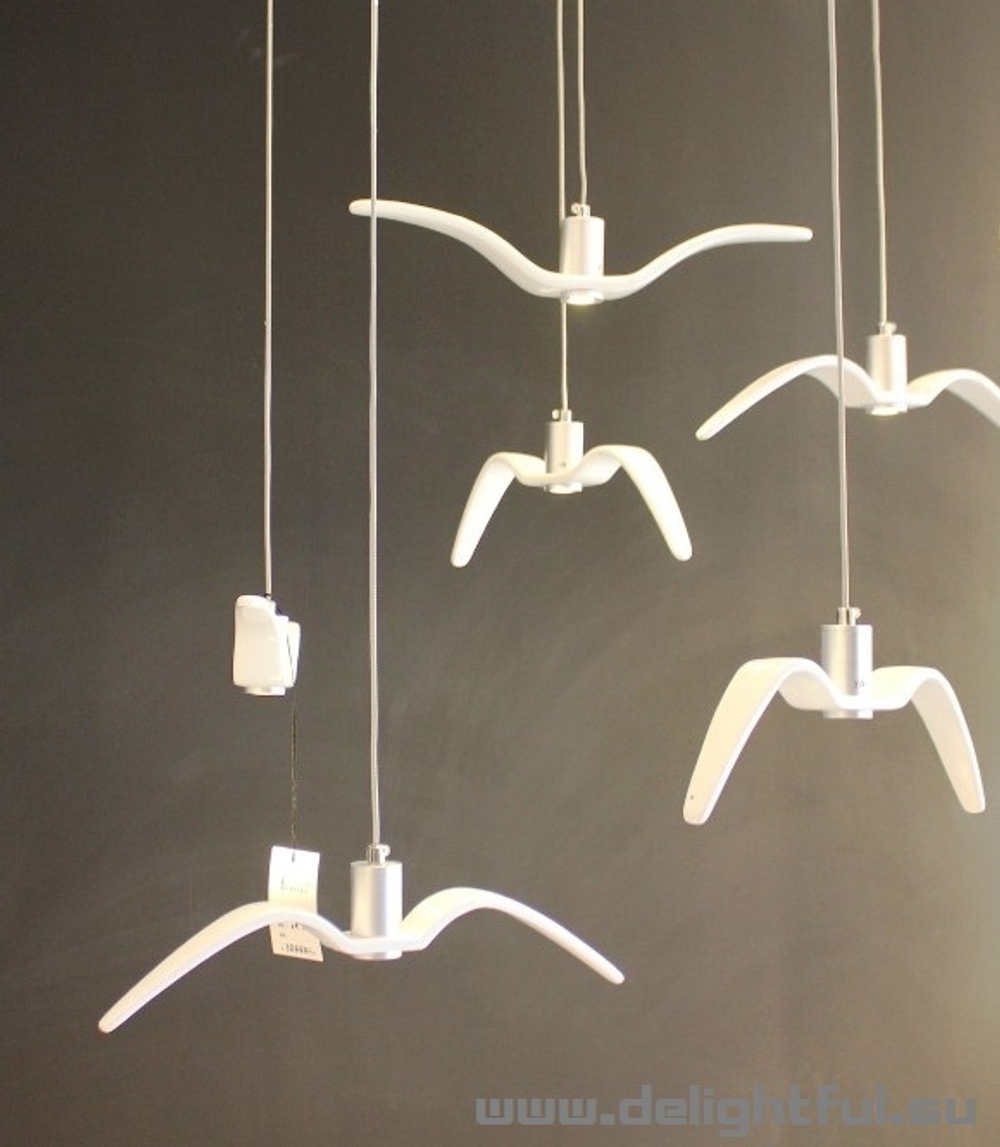 Night-Birds-Brokis 2
