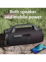 Колонка S79 100W black