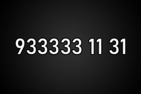 9333331131