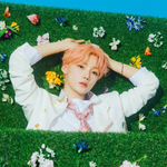 Альбом The Boyz - Bloom Bloom 2nd Single Album RANDOM Version