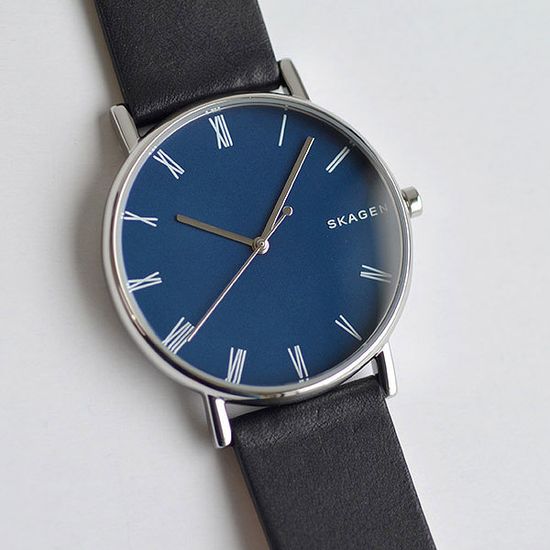 Мужские часы Skagen SKW6434