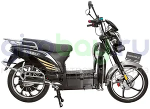Электроскутер ROCKWILD "Дачник" 1500W (60V/30Ah) фото №5