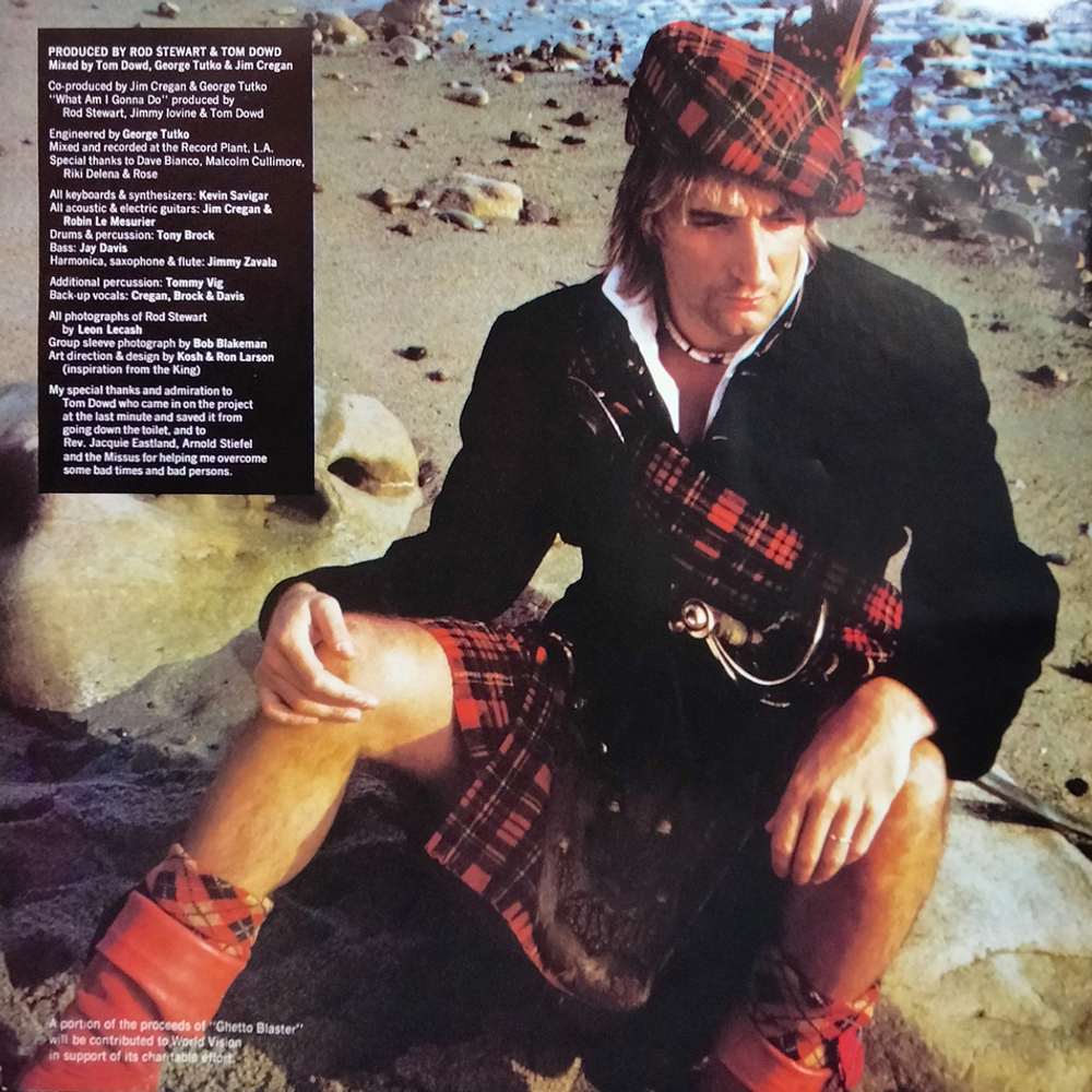 Rod Stewart / Body Wishes (LP)