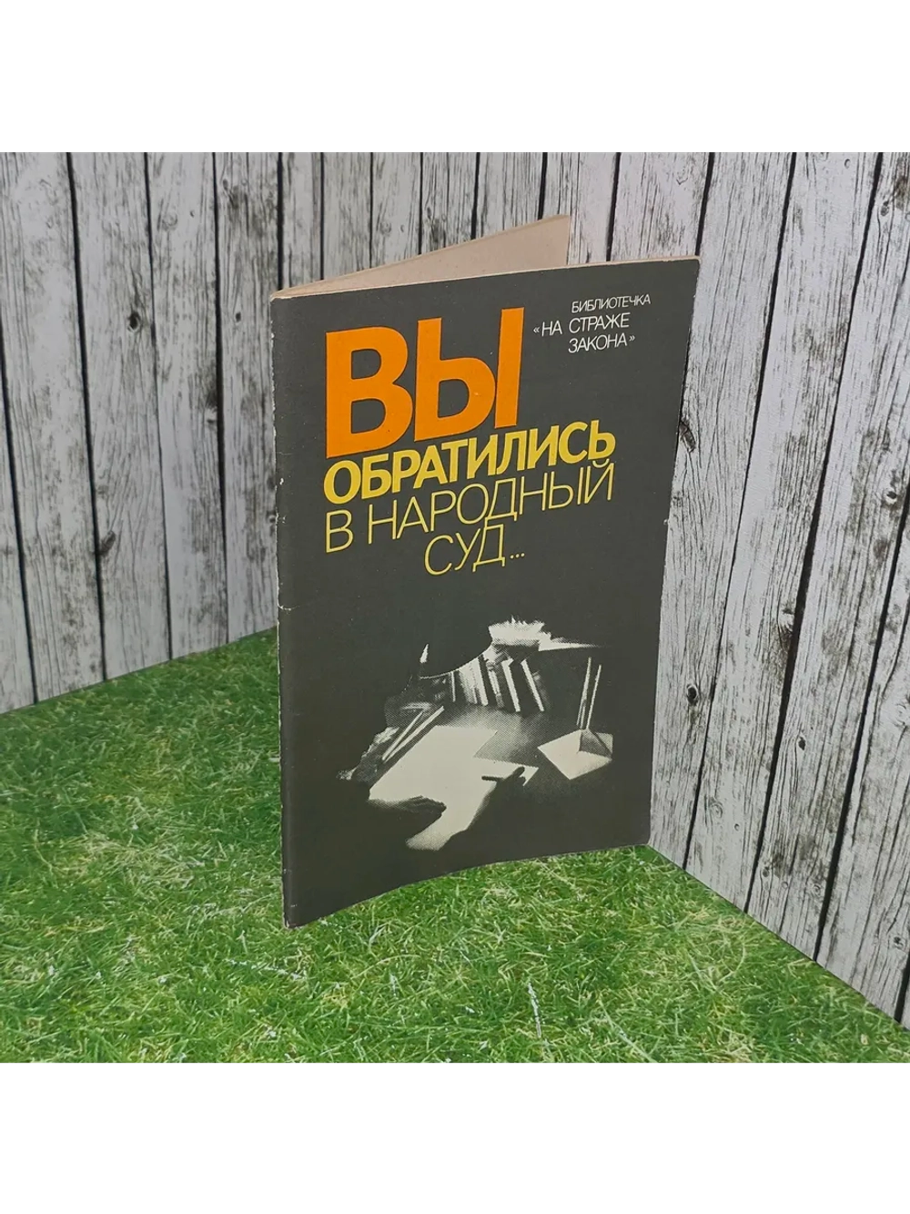 книга " Вы обратились в народный суд..."