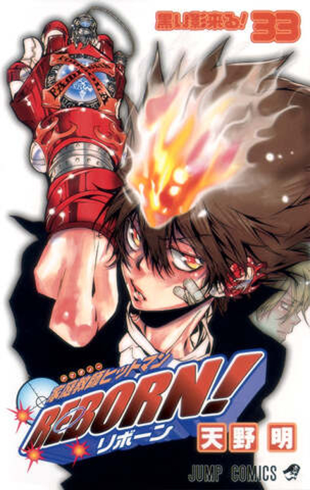 Манга Учитель-мафиози Реборн! Katekyo Hitman Reborn! на японском языке. Том 33