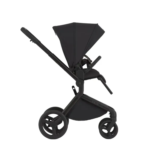 Коляска 2 в 1 ANEX Flo Lungo