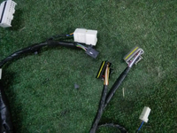 DSCN1781.JPG