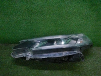 DSCN5861.JPG