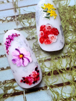 Slider Design #3D-05 (50*72)