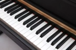 Pierre Cesar DP-500-H