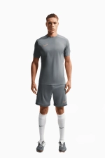 Футболка Nike Dri-FIT Academy - серый