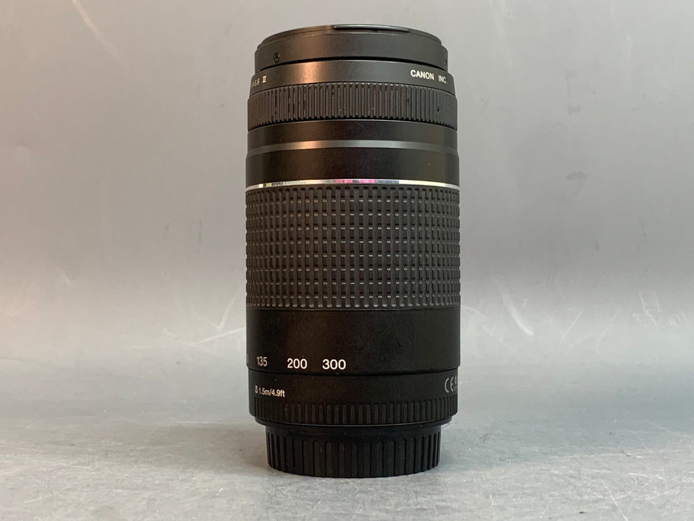 Canon EF 75-300mm f/4-5.6 III