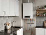 Двухконтурный котел Ariston cares XC 24 FF NG