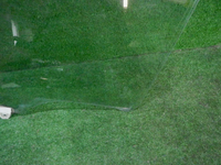 DSCN8195.JPG