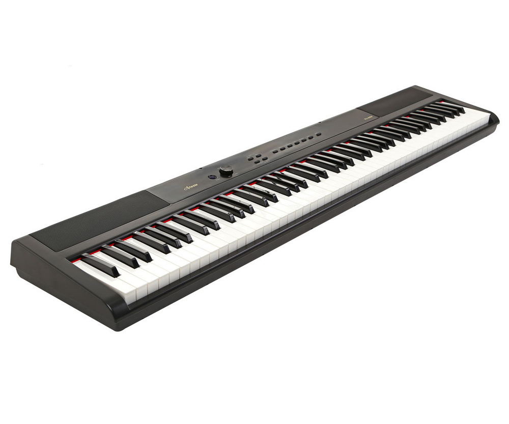 Artesia PA-88W