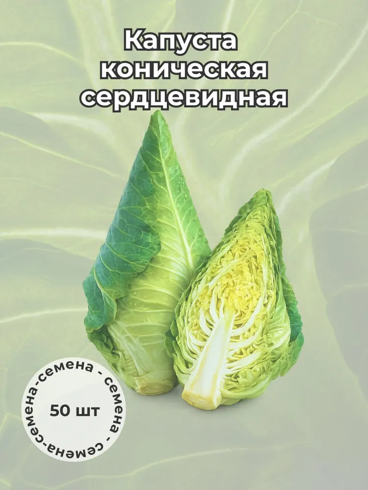 Капуста коническая (сердцевидная) — семена, 50 шт.