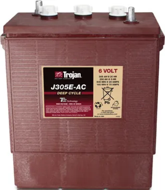 Аккумуляторы Trojan J305E-AC - фото 1