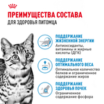 Royal Canin Indoor Sterilized 7+ Индор стерилайзд Корм влажный для стерилизованных кошек в возрасте от 7 до 12 лет живущих в помещении соус 85г