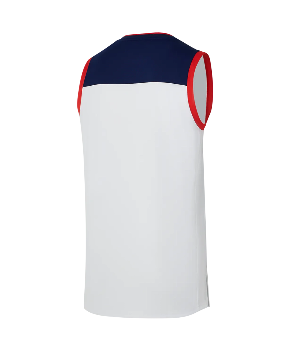 Майка баскетбольная DIVISION PerFormDRY RBF Jersey, белый