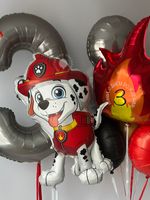 Воздушные шары Щенячий Патруль №8836