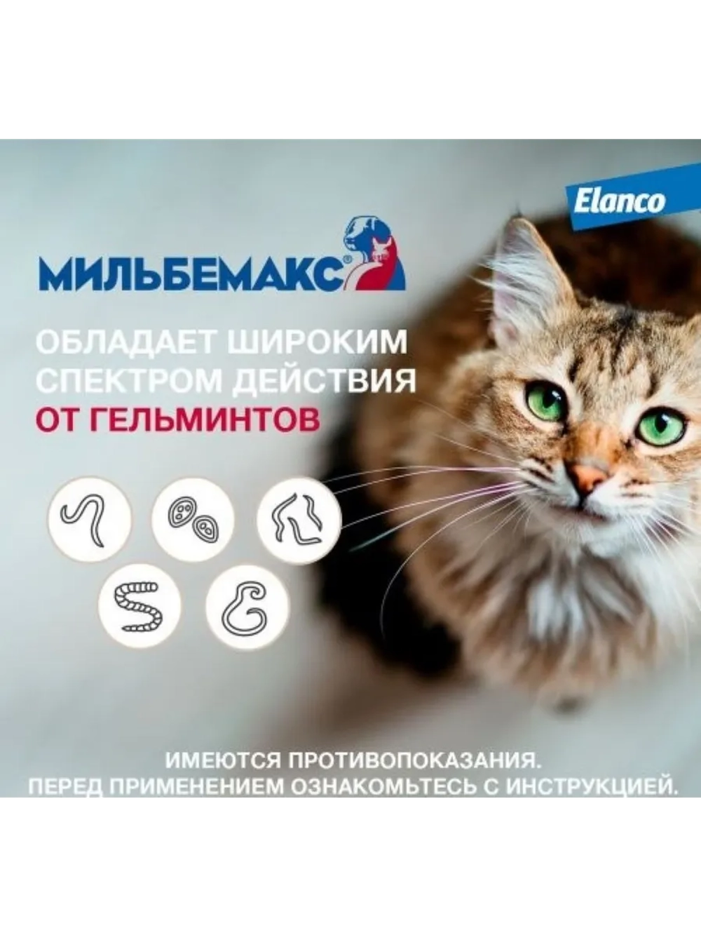 Мильбемакс для взрослых кошек 2табл