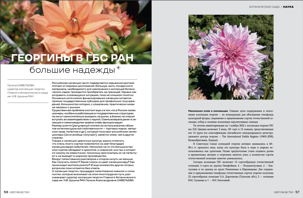 Цветоводство ОСЕНЬ 2023