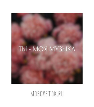 Открытка "Ты - моя музыка"