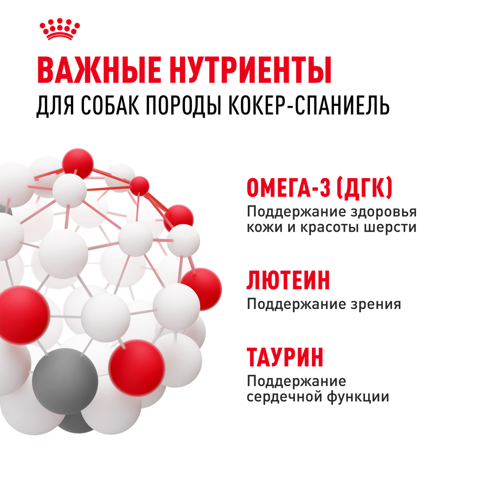 Royal Canin Cocker Adult Кокер Эдалт Корм сухой для взрослых собак породы Кокер Спаниель от 12 месяцев 12кг