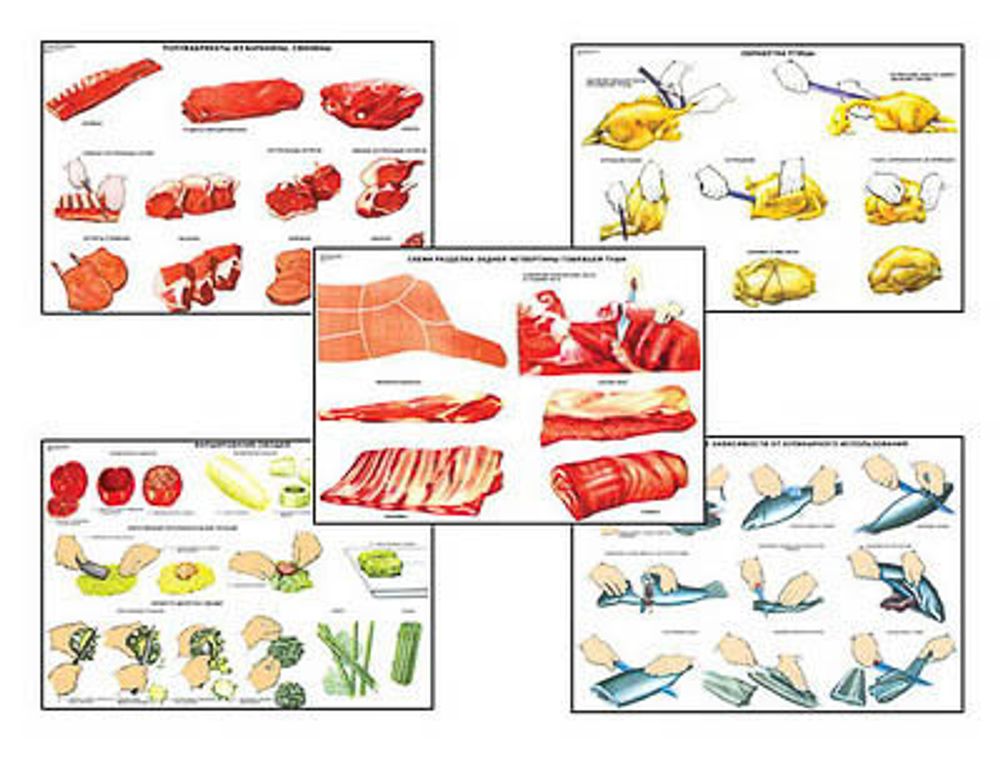 Плакаты ПРОФТЕХ "Первичная обраб. продуктов и приготовление полуфабрикатов" (15 пл, винил, 70х100)