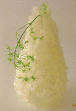 Yuko Takagi. Contemporary Floral Art