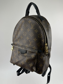 Рюкзак Louis Vuitton Palm Springs Mini