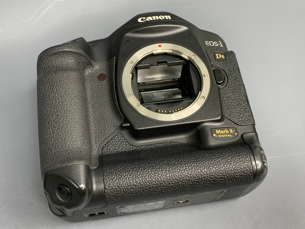 Canon EOS 1Ds Mark II 22.000 кадров